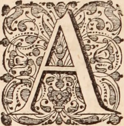 An illustration from Adriani Spigelii Bruxellensis, 1645, leaf 869