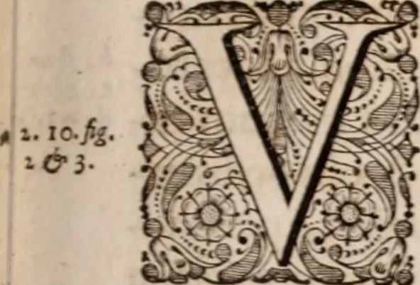 An illustration from Adriani Spigelii Bruxellensis, 1645, leaf 88