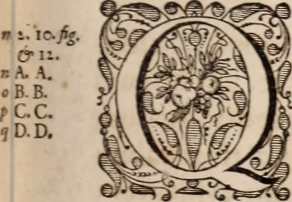 An illustration from Adriani Spigelii Bruxellensis, 1645, leaf 90