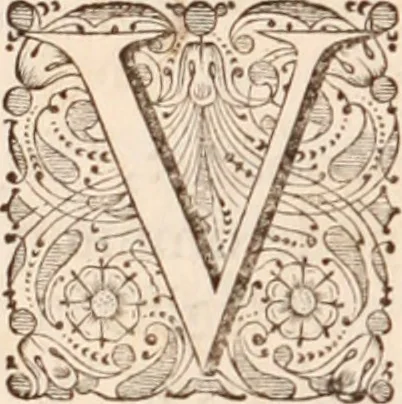 An illustration from Adriani Spigelii Bruxellensis, 1645, leaf 93