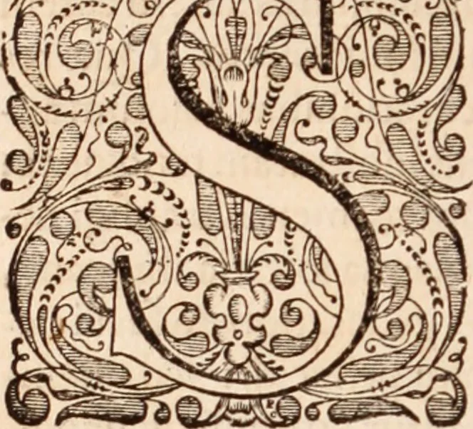 An illustration from Adriani Spigelii Bruxellensis, 1645, leaf 95