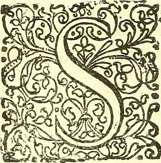 An illustration from Adriani Spigelii ... De humani corporis fabrica libri decem, tabulis XCIIX aeri incisis elegantissimis, nec antehac visis exornati. Serenissimo Ioanni Cornelio Venetiarum duci dicati : opus posthumum : Daniel Bucretius Vratislaviensis Philos. & Medic. D, 1632, leaf 105