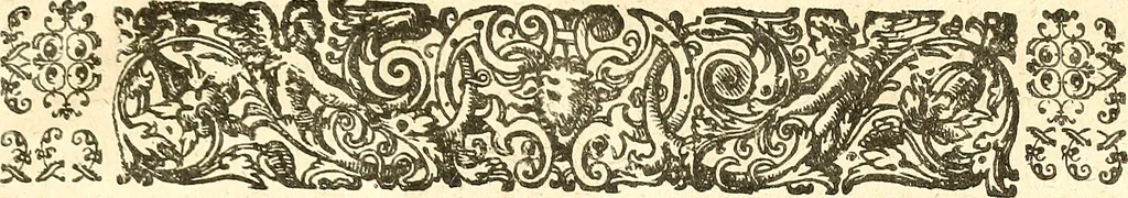 An illustration from Adriani Spigelii ... De humani corporis fabrica libri decem, tabulis XCIIX aeri incisis elegantissimis, nec antehac visis exornati. Serenissimo Ioanni Cornelio Venetiarum duci dicati : opus posthumum : Daniel Bucretius Vratislaviensis Philos. & Medic. D, 1632, leaf 18