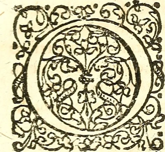 An illustration from Adriani Spigelii ... De humani corporis fabrica libri decem, tabulis XCIIX aeri incisis elegantissimis, nec antehac visis exornati. Serenissimo Ioanni Cornelio Venetiarum duci dicati : opus posthumum : Daniel Bucretius Vratislaviensis Philos. & Medic. D, 1632, leaf 194