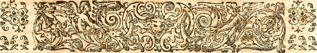 An illustration from Adriani Spigelii ... De humani corporis fabrica libri decem, tabulis XCIIX aeri incisis elegantissimis, nec antehac visis exornati. Serenissimo Ioanni Cornelio Venetiarum duci dicati : opus posthumum : Daniel Bucretius Vratislaviensis Philos. & Medic. D, 1632, leaf 236