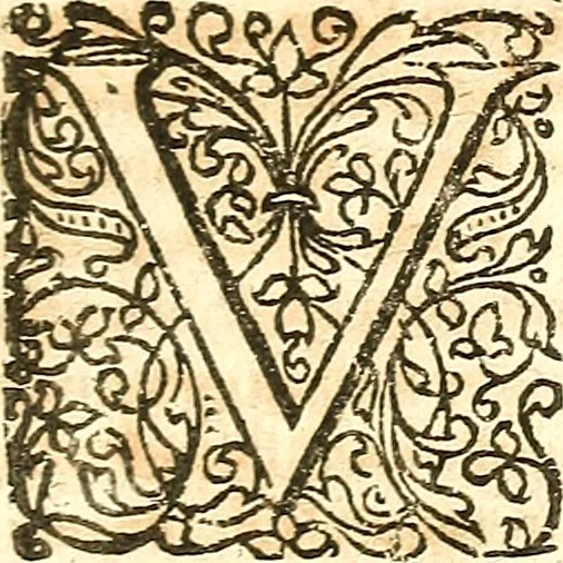 An illustration from Adriani Spigelii ... De humani corporis fabrica libri decem, tabulis XCIIX aeri incisis elegantissimis, nec antehac visis exornati. Serenissimo Ioanni Cornelio Venetiarum duci dicati : opus posthumum : Daniel Bucretius Vratislaviensis Philos. & Medic. D, 1632, leaf 236