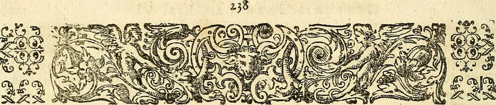 An illustration from Adriani Spigelii ... De humani corporis fabrica libri decem, tabulis XCIIX aeri incisis elegantissimis, nec antehac visis exornati. Serenissimo Ioanni Cornelio Venetiarum duci dicati : opus posthumum : Daniel Bucretius Vratislaviensis Philos. & Medic. D, 1632, leaf 255