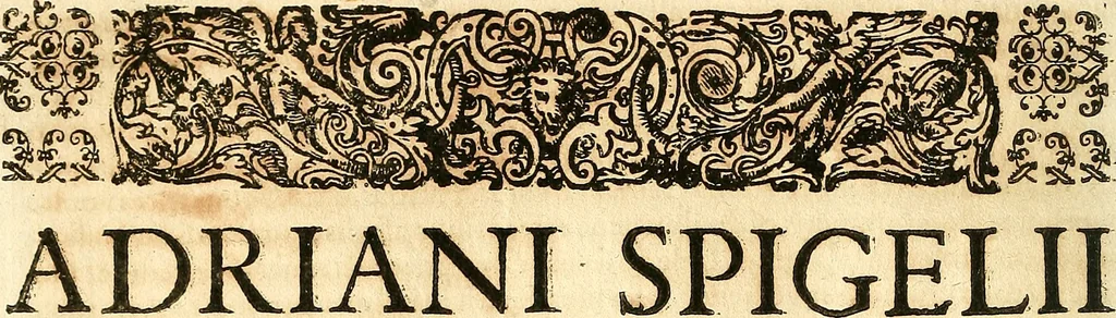 An illustration from Adriani Spigelii ... De humani corporis fabrica libri decem, tabulis XCIIX aeri incisis elegantissimis, nec antehac visis exornati. Serenissimo Ioanni Cornelio Venetiarum duci dicati : opus posthumum : Daniel Bucretius Vratislaviensis Philos. & Medic. D, 1632, leaf 277