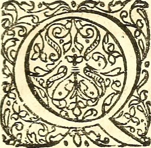 An illustration from Adriani Spigelii ... De humani corporis fabrica libri decem, tabulis XCIIX aeri incisis elegantissimis, nec antehac visis exornati. Serenissimo Ioanni Cornelio Venetiarum duci dicati : opus posthumum : Daniel Bucretius Vratislaviensis Philos. & Medic. D, 1632, leaf 358