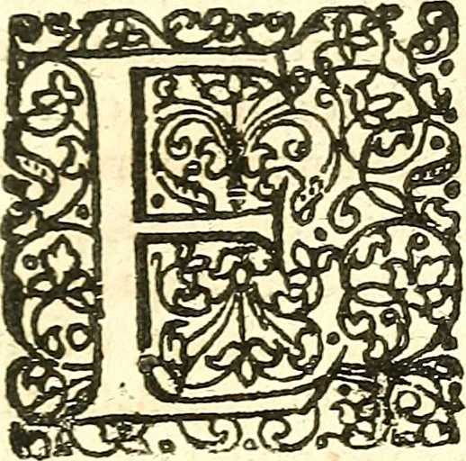An illustration from Adriani Spigelii ... De humani corporis fabrica libri decem, tabulis XCIIX aeri incisis elegantissimis, nec antehac visis exornati. Serenissimo Ioanni Cornelio Venetiarum duci dicati : opus posthumum : Daniel Bucretius Vratislaviensis Philos. & Medic. D, 1632, leaf 384