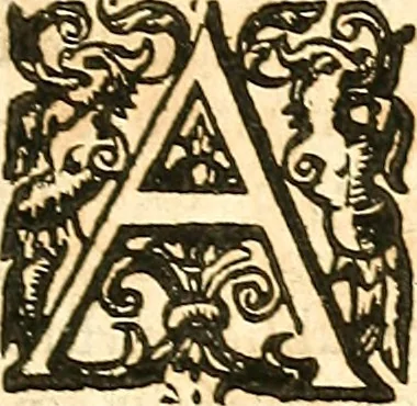 An illustration from Adriani Spigelii ... De humani corporis fabrica libri decem, tabulis XCIIX aeri incisis elegantissimis, nec antehac visis exornati. Serenissimo Ioanni Cornelio Venetiarum duci dicati : opus posthumum : Daniel Bucretius Vratislaviensis Philos. & Medic. D, 1632, leaf 432