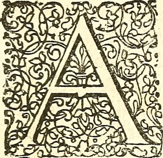 An illustration from Adriani Spigelii ... De humani corporis fabrica libri decem, tabulis XCIIX aeri incisis elegantissimis, nec antehac visis exornati. Serenissimo Ioanni Cornelio Venetiarum duci dicati : opus posthumum : Daniel Bucretius Vratislaviensis Philos. & Medic. D, 1632, leaf 6