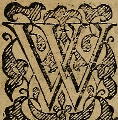 An illustration from Adtimchiol an chreidimh comhaghalluidhedar an maighiser, agas an foghluinte: : aghon, minisder an tsoiogeil, agas an leanamh., 1631, leaf 10