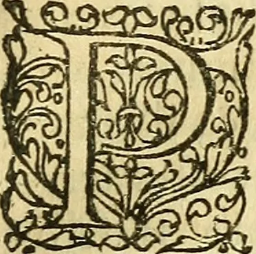 An illustration from Ad tractationem de ministrorum evangelii gradibus, 1593, leaf 28