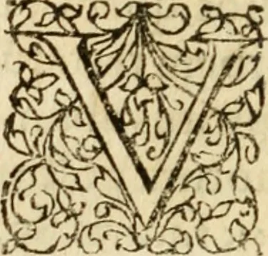An illustration from Ad tractationem de ministrorum evangelii gradibus, 1593, leaf 31