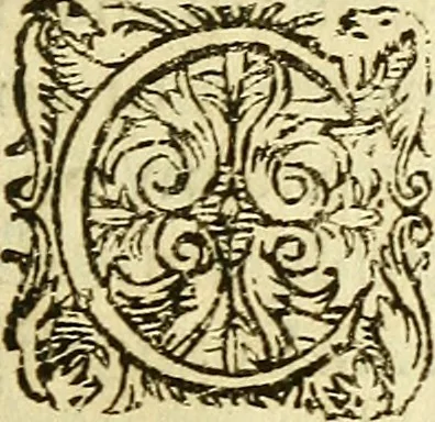 An illustration from Ad tractationem de ministrorum evangelii gradibus, 1593, leaf 4