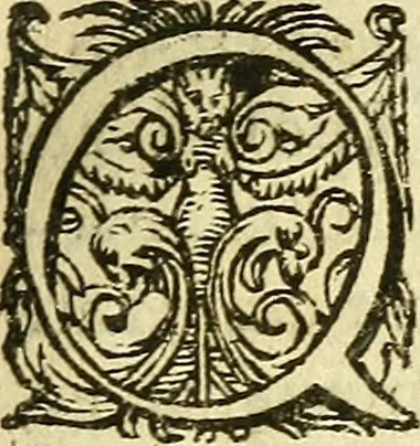 An illustration from Ad tractationem de ministrorum evangelii gradibus, 1593, leaf 44