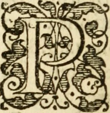 An illustration from Ad tractationem de ministrorum evangelii gradibus, 1593, leaf 51
