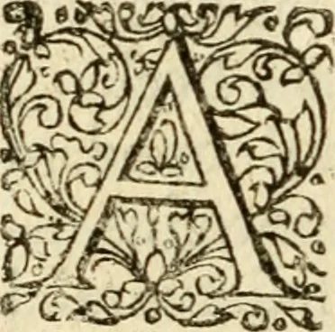 An illustration from Ad tractationem de ministrorum evangelii gradibus, 1593, leaf 75