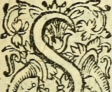 An illustration from Ad tractationem de ministrorum evangelii gradibus, 1593, leaf 82