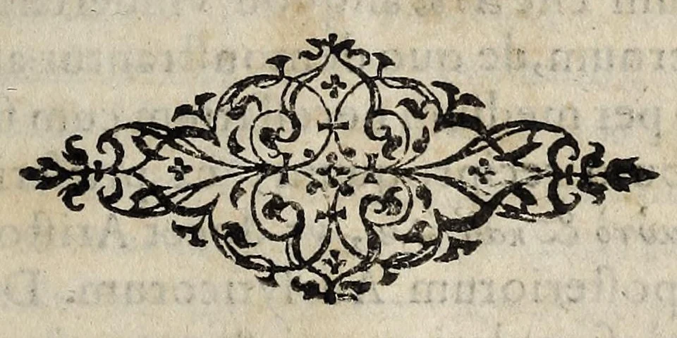 An illustration from Ad tractatum Matthæi Zampini ..., 1588, leaf 9