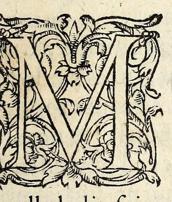 An illustration from Aduertissemens a la noblesse sur une lettre imprimee & publiee soubz le nom du Roy de Nauarre à ladicte noblesse., 1580, leaf 5