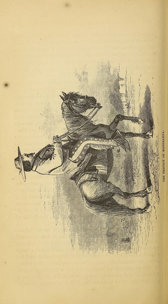 An illustration from Adventures in the Apache country : a tour through Arizona and Sonora : with notes on the silver regions of Nevada, 1869, leaf 172