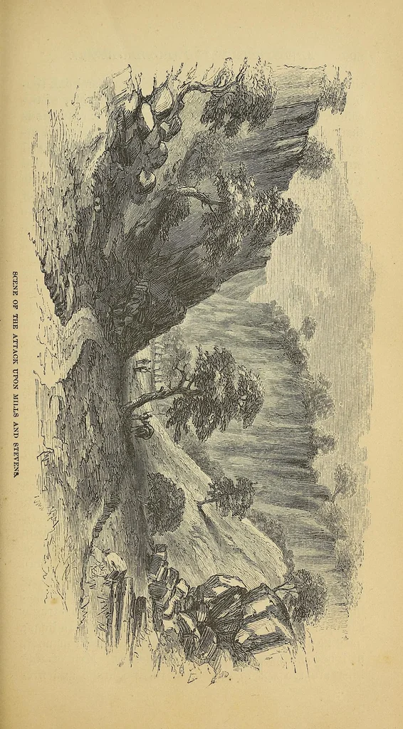 An illustration from Adventures in the Apache country : a tour through Arizona and Sonora : with notes on the silver regions of Nevada, 1869, leaf 201