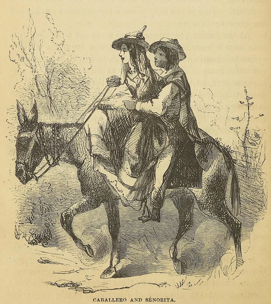 An illustration from Adventures in the Apache country : a tour through Arizona and Sonora : with notes on the silver regions of Nevada, 1869, leaf 244