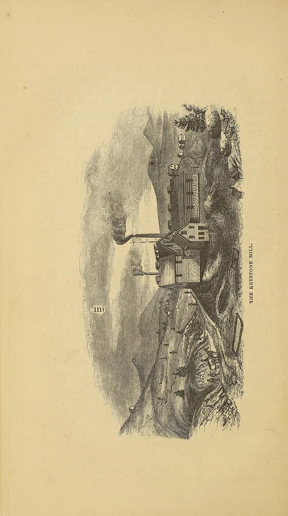An illustration from Adventures in the Apache country : a tour through Arizona and Sonora : with notes on the silver regions of Nevada, 1869, leaf 478