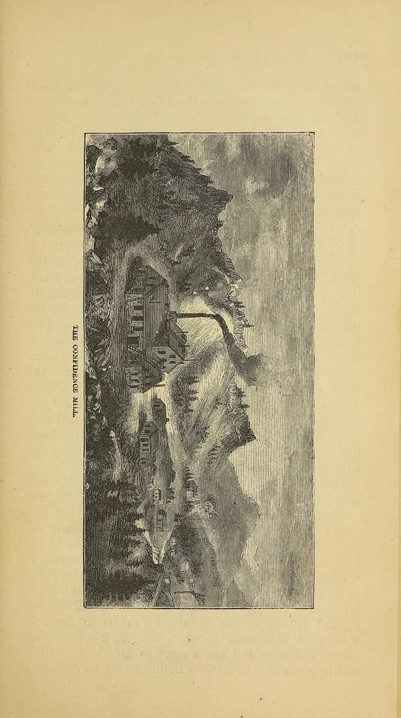 An illustration from Adventures in the Apache country : a tour through Arizona and Sonora : with notes on the silver regions of Nevada, 1869, leaf 509