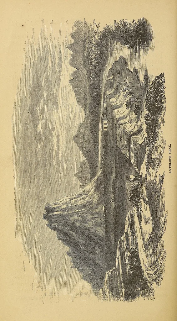 An illustration from Adventures in the Apache country : a tour through Arizona and Sonora : with notes on the silver regions of Nevada, 1869, leaf 84