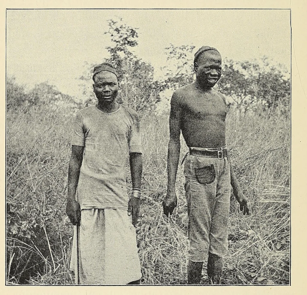 An illustration from The adventures of an elephant hunter, 1912, leaf 180