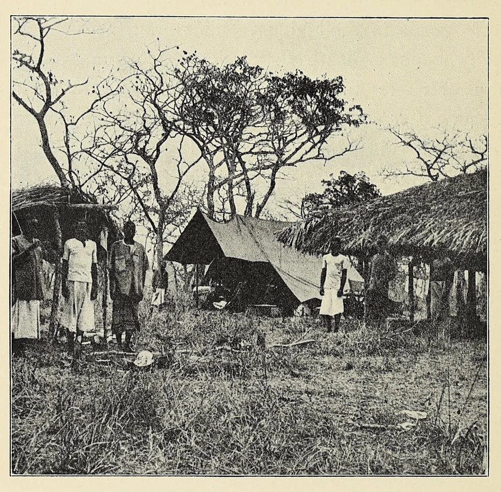 An illustration from The adventures of an elephant hunter, 1912, leaf 196