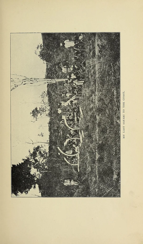 An illustration from The adventures of an elephant hunter, 1912, leaf 31