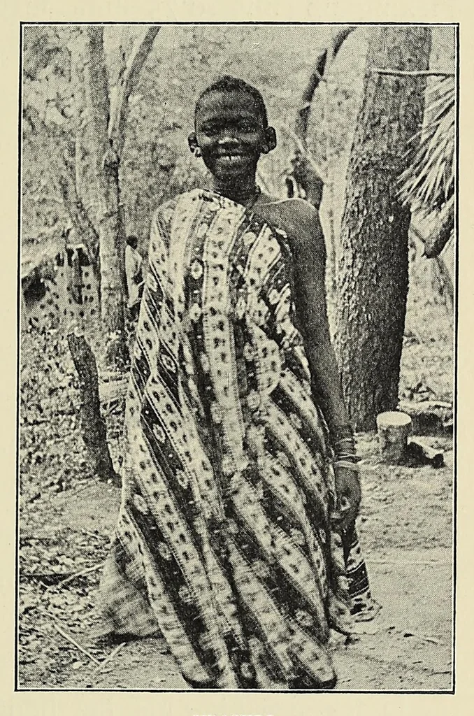 An illustration from The adventures of an elephant hunter, 1912, leaf 89