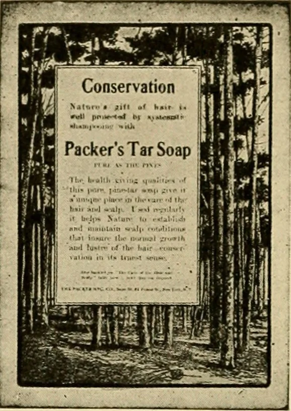 An illustration from Advertising and selling : principles of appeal and response, 1913, leaf 29