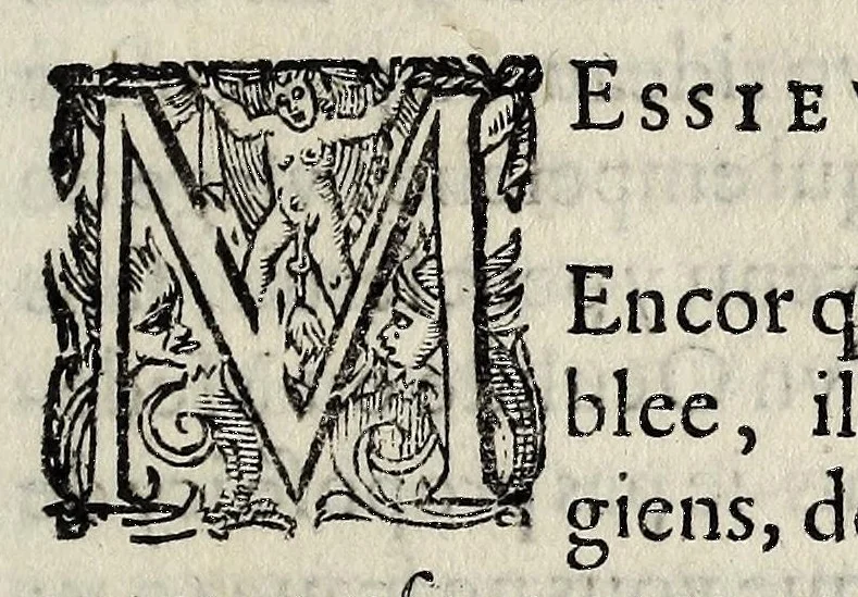 An illustration from Advertissement à lʹassemblee de la Rochelle /, 1621, leaf 3