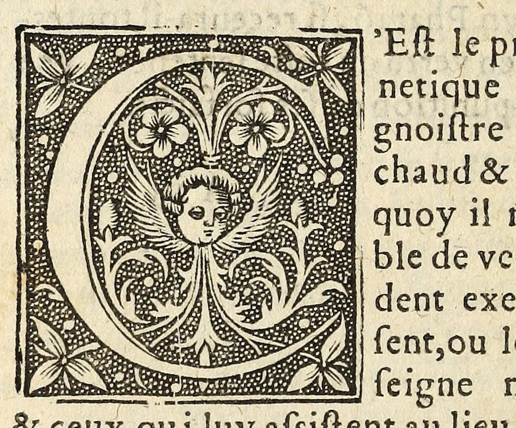 An illustration from Advertissement aux catholiques, sur la bulle de nostre sainct Pere, touchant l'excommunication de Henry de Valois. Auec plusieurs exemples des punitions estranges & merueilleux iugements de Dieu, sur les excommuniez ..., 1589, leaf 6