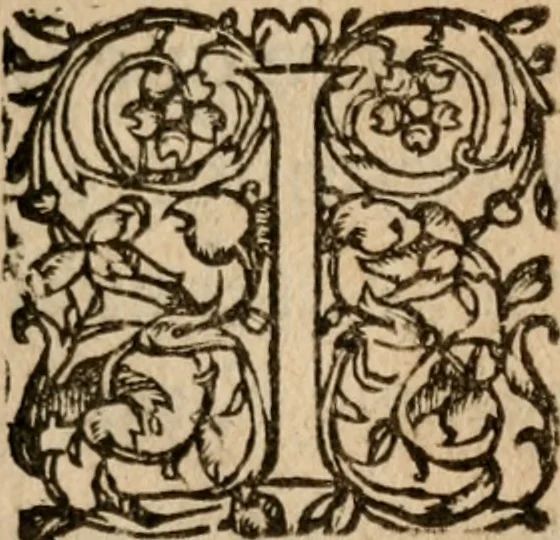 An illustration from Advertissement povr la ivrisdiction consvlaire des marchands, fait par vn particulier en 1616. Plvs vn traicté des ivge et consvls des marchands, 1651, leaf 40