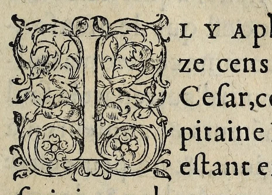 An illustration from Advertissement svr la favlsete de plusieurs mensonges semez par les rebelles., 1562, leaf 9