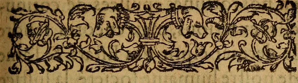 An illustration from Advis de messieurs du conseil general de l'vnion des Catholiques estably à Paris :$bsur la nomination & election de Monseigneur le duc de Mayenne Pair de France, pour luy estre donné le tiltre de Lieutenant General de l'Estat Royal & Couronne de France, attendant l'assemblee des Estats de ce Royaume. Auec l'Arest de la Cour sur ce interuenu & le serment faict par ledict Seigneur, 1589, leaf 10