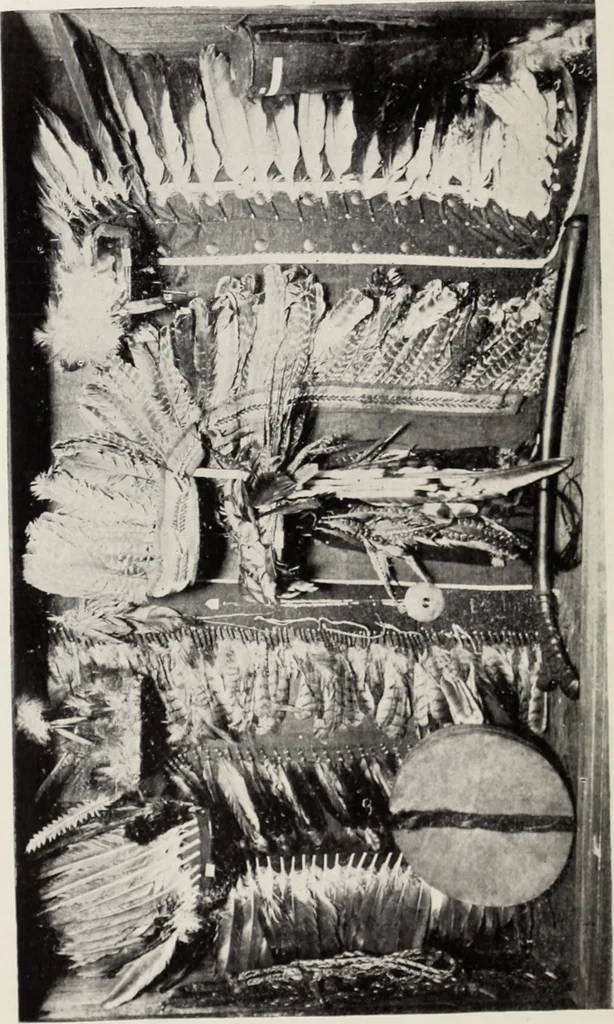 An illustration from A.E. Brooks's collection of antique guns, pistols, etc., Hartford, Conn, 1899, leaf 165