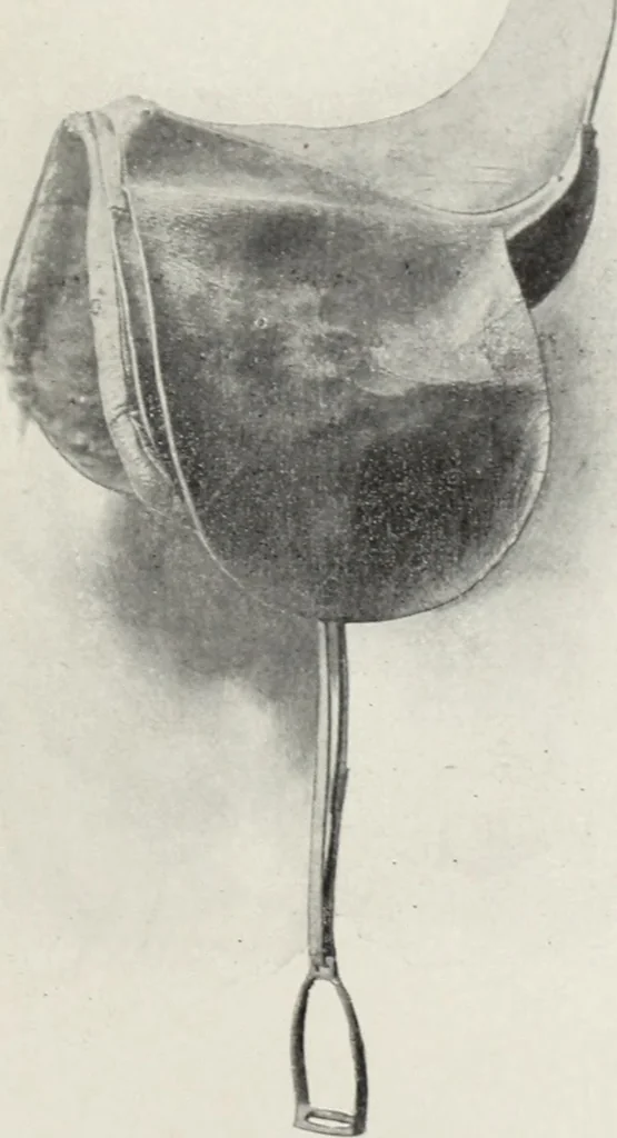 An illustration from A.E. Brooks's collection of antique guns, pistols, etc., Hartford, Conn, 1899, leaf 54