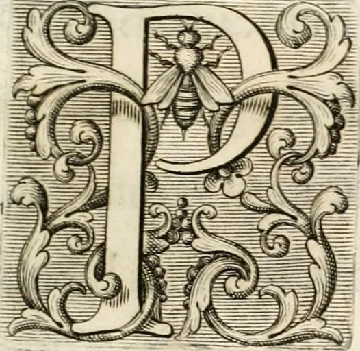An illustration from Aedes Barberinae ad Quirinalem, 1642, leaf 118