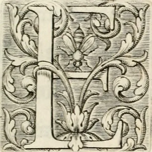 An illustration from Aedes Barberinae ad Quirinalem, 1642, leaf 146