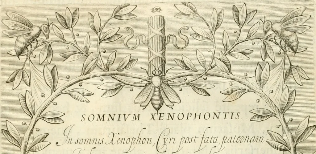 An illustration from Aedes Barberinae ad Quirinalem, 1642, leaf 155