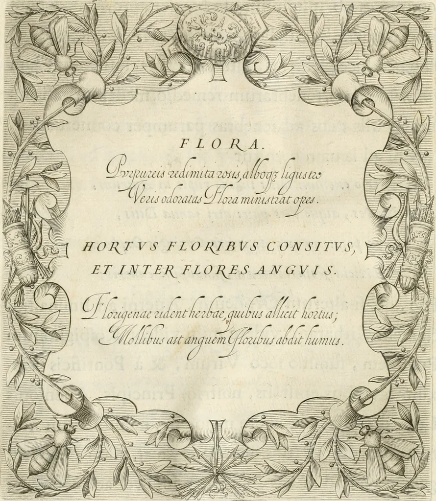 An illustration from Aedes Barberinae ad Quirinalem, 1642, leaf 156