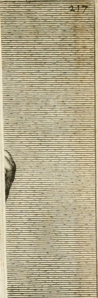 An illustration from Aedes Barberinae ad Quirinalem, 1642, leaf 254