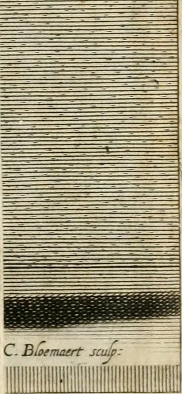 An illustration from Aedes Barberinae ad Quirinalem, 1642, leaf 254